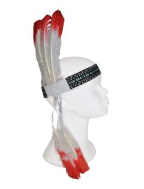 Headband w/Feathers