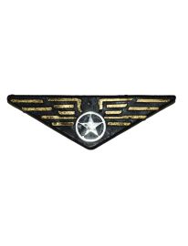 Brooch-Pilot-5.1"