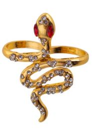 Ring-Snake