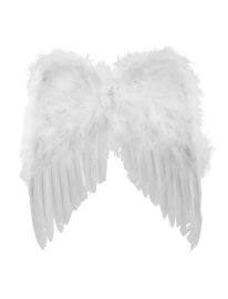 Wings-Feather-Wht-15.5"x14"