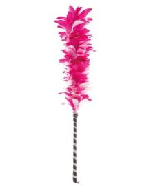 Feather Duster-21.7"-Pnk/Wht