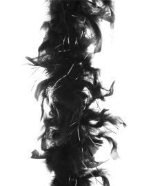 Boa-Feathers-w/Tinsel-Blk/Slv-78.7"