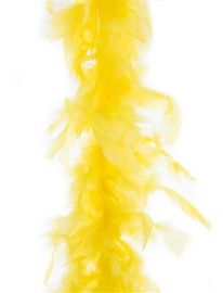 Boa-Feathers-Ylw-78.7"