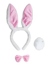Playset-Bunny-Pnk/Wht-3 pc set