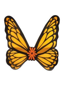 Wings-Butterfly-Org-28.7"x30"