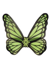 Wings-Butterfly-Grn-28.7"x30"