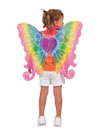 Wings-Rainbow w/Hearts-25.6"x21.1"