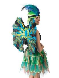 Wings-Peacock Feathers-23.6"