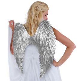 Wings-Slv