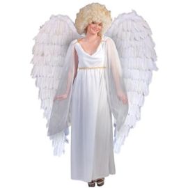Wings-Feathers-Wht