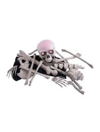 Bag w/Bones & Skull w/Light-Life Size