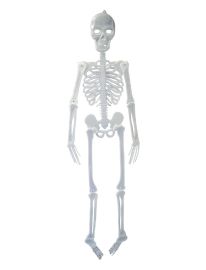 Décor-Skeleton-Glow in Dark-59"