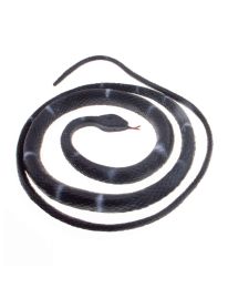 Snake-Black/Grey-31.5"