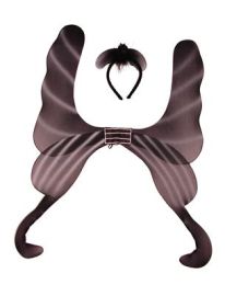Wings w/Headband-39.4"x28.4"
