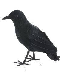Décor-Crow-9"