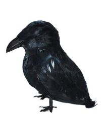 Décor-Crow-3.5"