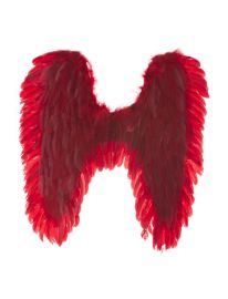 Wings-Feathers-Red-25.5"x27.5"