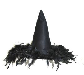 Hat-Witch-Feathers