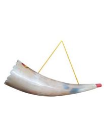 Horn Trumpet