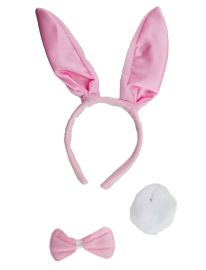 Playset-Bunny-3 pc set-Pnk/Wht
