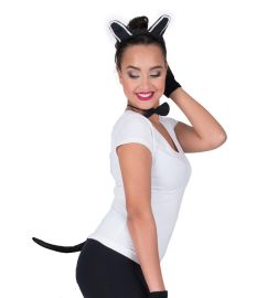 Playset-Cat-Blk-3 pc set