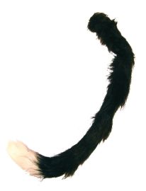 Cat Tail-Black w/White Tip