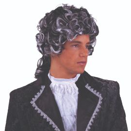Wig-Ponytail-Black/White