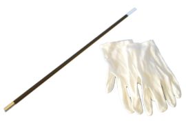 Magic Wand & Gloves
