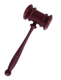 Gavel-Plastic-10"