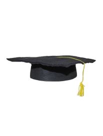 Hat-Graduation-Ylw Tassel-Child