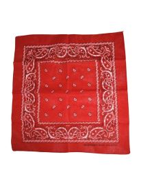 Handkerchief-Red Paisley