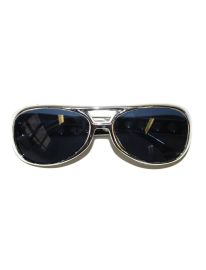 Glasses-Metallic-Slv