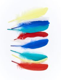 Feathers-13"-10 pcs Asst