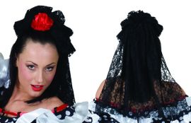 Hairclip w/Lace Veil & Flower