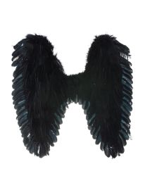 Wings-Feathers-Blk-26"x24.4"