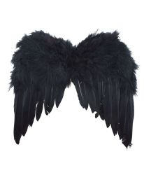 Wings-Feathers-Blk-14"x12.5"