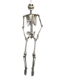 Hanging Skeleton-68.9"