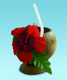Coconut Cup w/Straw & Flower COMING SOON