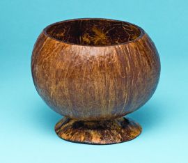 Coconut Cup w/base Only COMING SOON