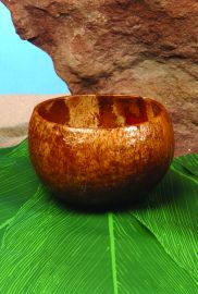 Coconut Cup/Bowl COMING SOON