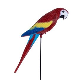 Parrot on Stick - 40 cm