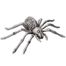 Spider Skeleton-9"x6"x3"