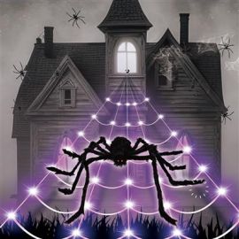 LED Spider Web w/Large Spider