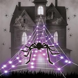 LED Spider Web w/Spider